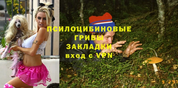 стаф Абинск